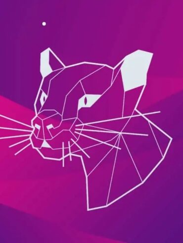 ubuntu 20.04 focal-fossa