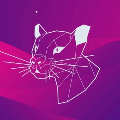 ubuntu 20.04 focal-fossa