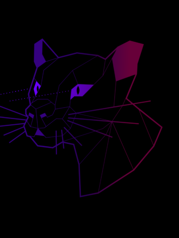 ubuntu 20.04.1 focal fossa