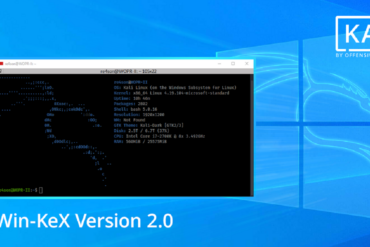 win-kex wsl2 kali linux