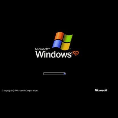 windows xp