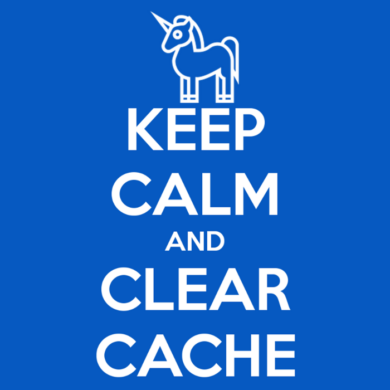 apt cache clean