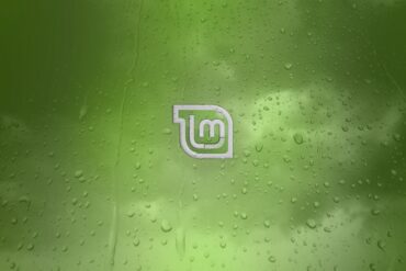 linux mint 20.1 ulyssa