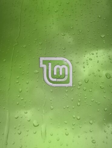 linux mint 20.1 ulyssa