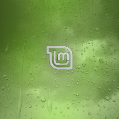 linux mint 20.1 ulyssa