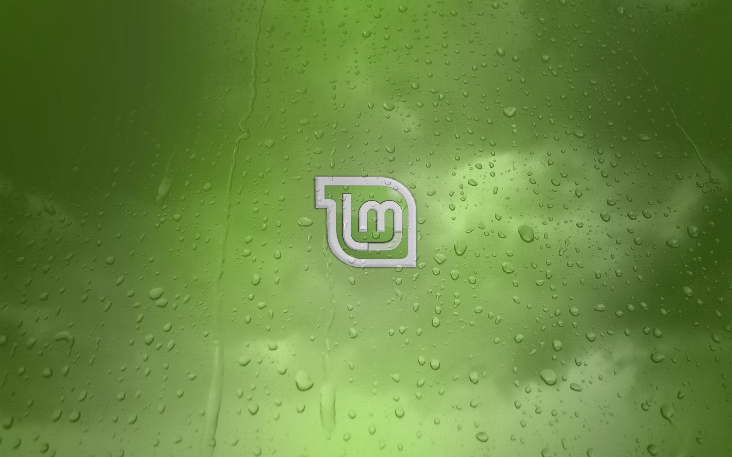 linux mint 20.1 ulyssa