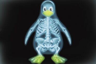 syadmin linux skel fhs