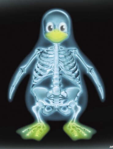 syadmin linux skel fhs