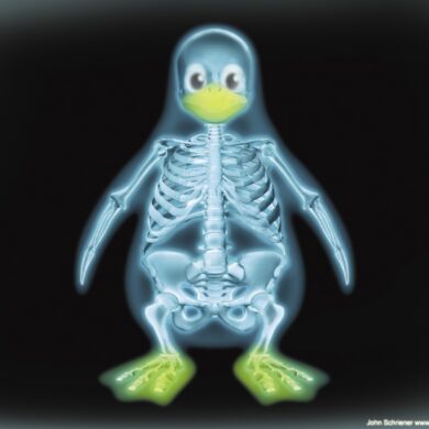 syadmin linux skel fhs