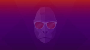 ubuntu 20.10 groovy gorilla wallpaper