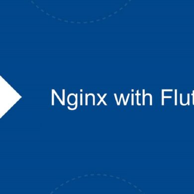 nginx with flutter