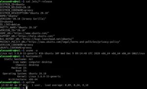 gnu/linux server
