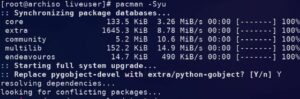pacman system update
