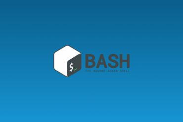 bash wp