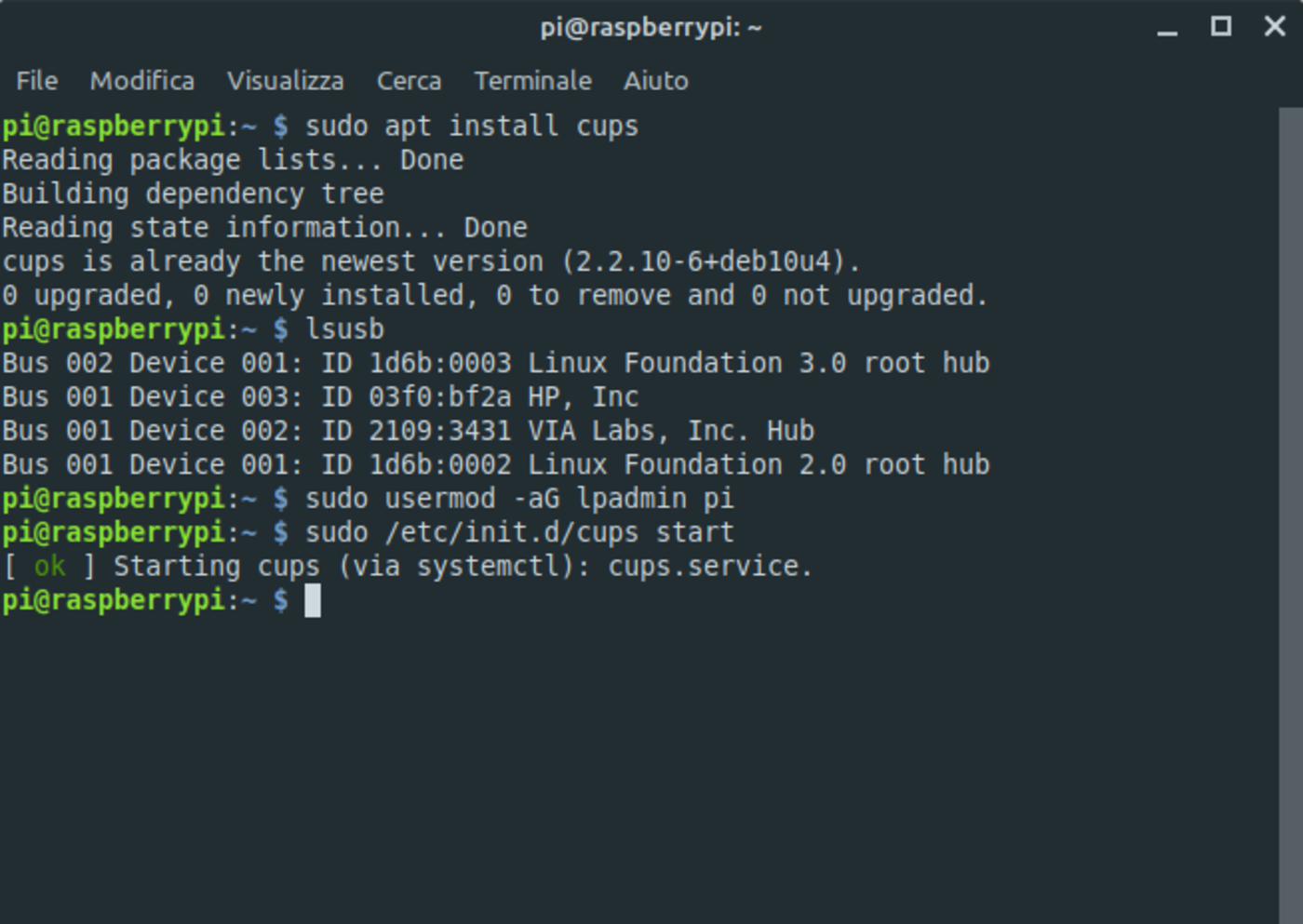 [Guida] Raspberry Pi: come trasformare una stampante in stampante wireless
