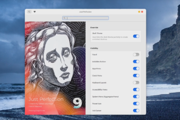 just perfection gnome