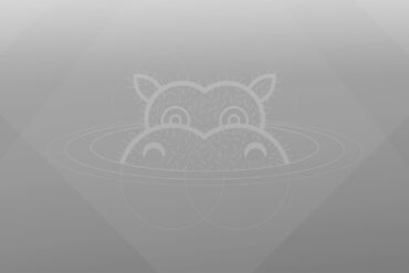 ubuntu 21-04 hirsute hippo-greyscale