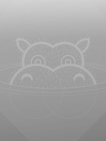 ubuntu 21-04 hirsute hippo-greyscale