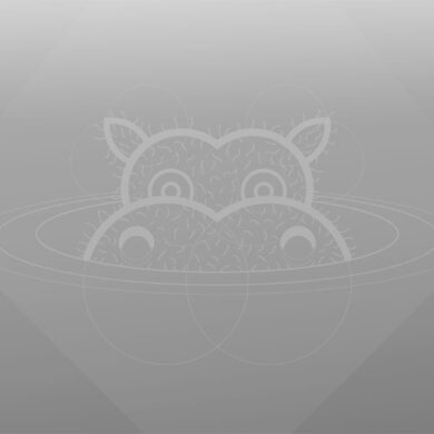 ubuntu 21-04 hirsute hippo-greyscale