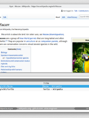 nyxt web browser lisp