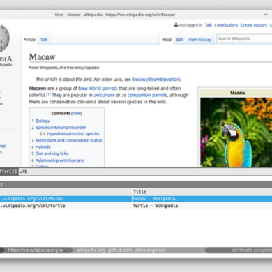 nyxt web browser lisp