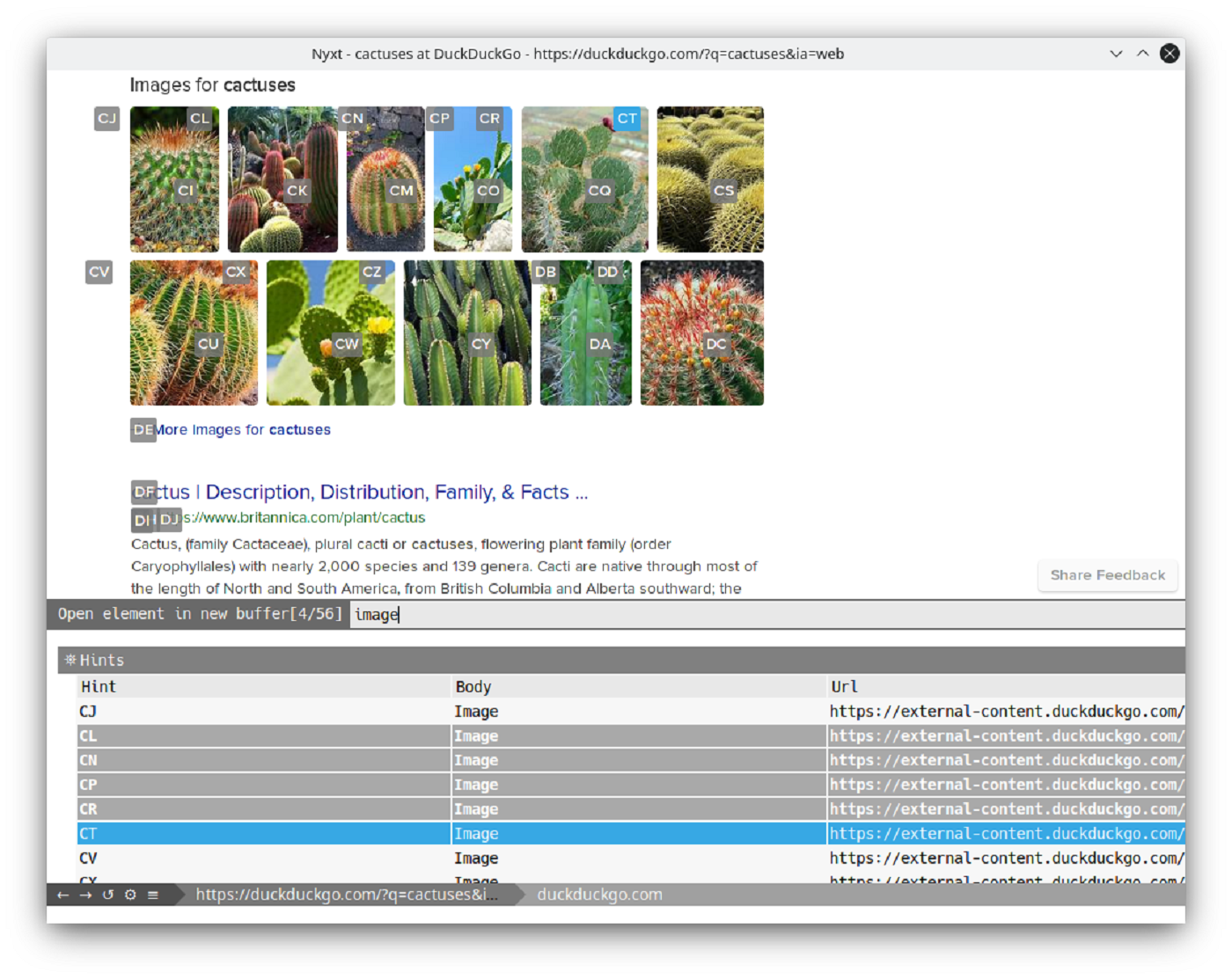 Nyxt Browser funziona da terminale ed è Lisp ready!
