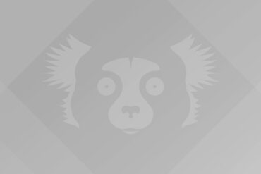 Ubuntu 21.10 Impish Indri wallpaper