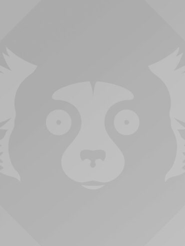 Ubuntu 21.10 Impish Indri wallpaper