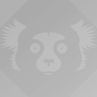 Ubuntu 21.10 Impish Indri wallpaper