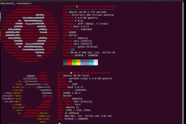 ubuntu neofetch splash screen