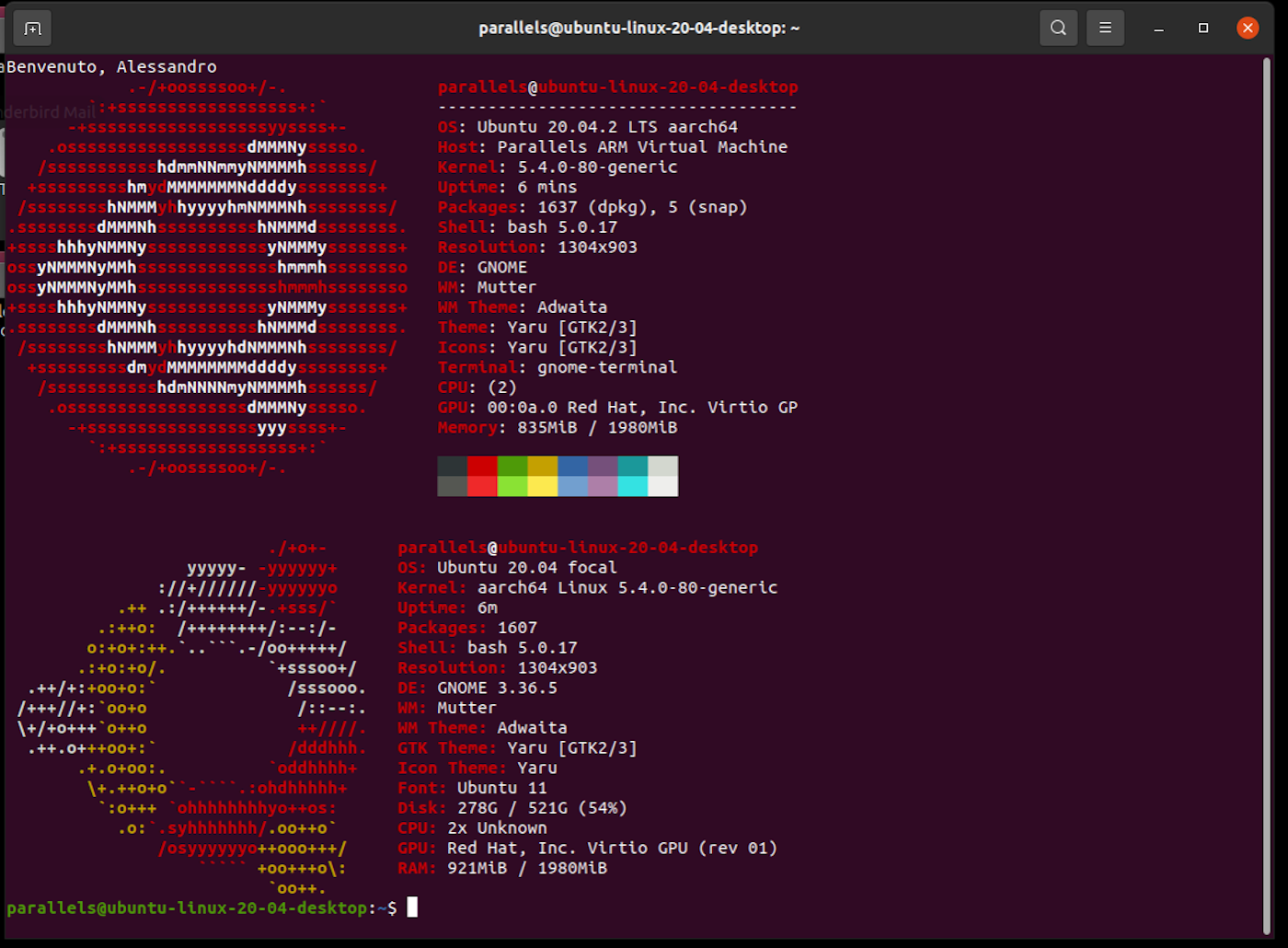 ubuntu neofetch screenfetch