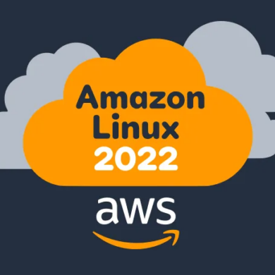 amazon linux 2022