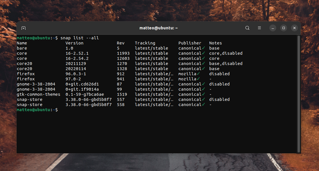 snap list --all